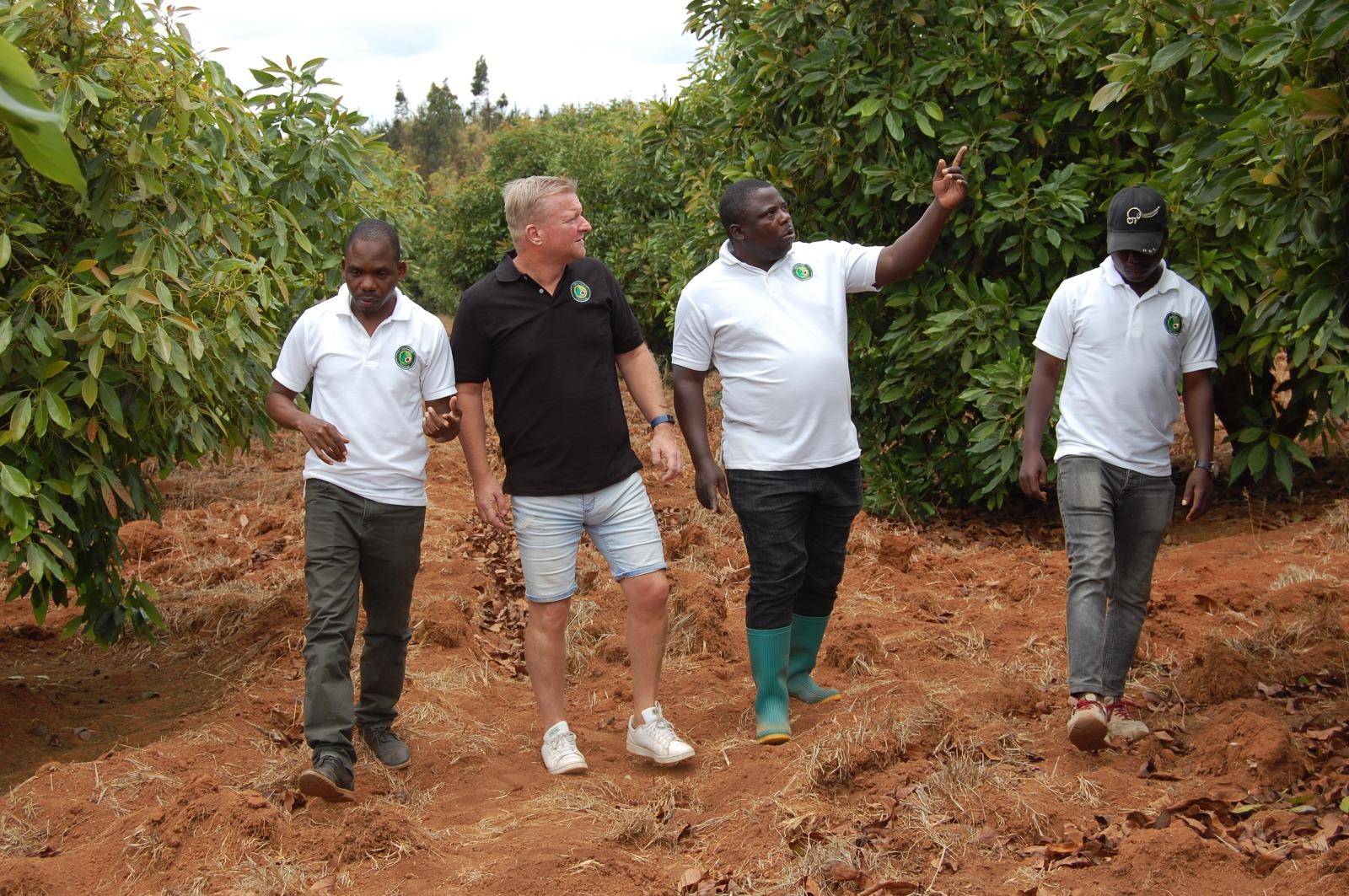 Tanzania Targets 32% Growth in Cash Crop Production Under 2026/27 Agriculture Strategy